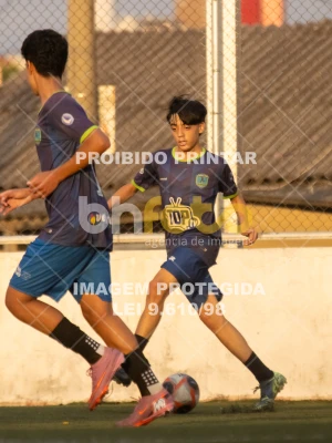 Detalhes da foto #1346595