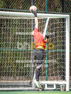 Detalhes da foto #75980