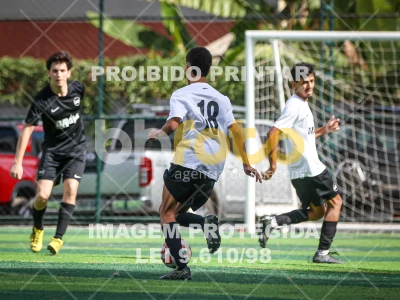 Detalhes da foto #31517