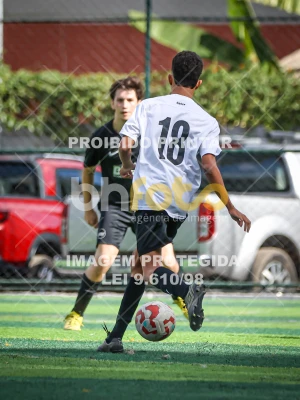 Detalhes da foto #14911