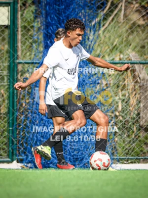 Detalhes da foto #12428