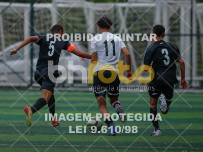 Detalhes da foto #8508240