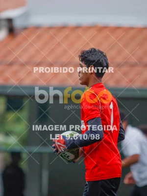 Detalhes da foto #7393508