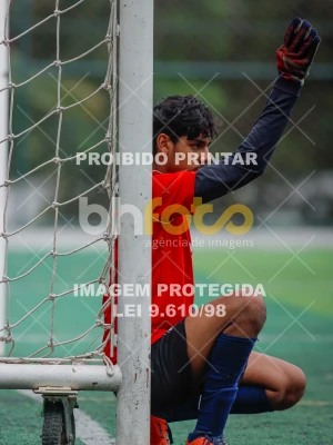 Detalhes da foto #3646100