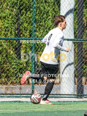 Detalhes da foto #84365