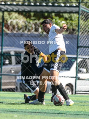 Detalhes da foto #43298