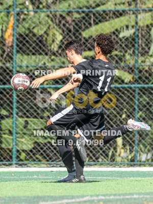 Detalhes da foto #38241