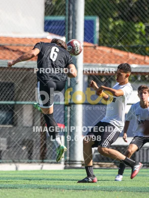 Detalhes da foto #24085