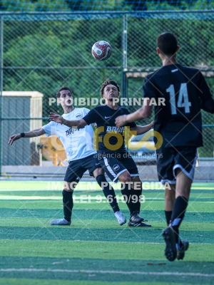 Detalhes da foto #12513