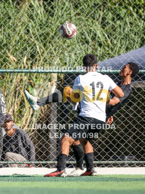 Detalhes da foto #63496