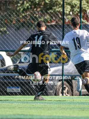 Detalhes da foto #41904