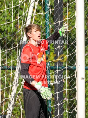 Detalhes da foto #34313