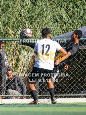 Detalhes da foto #12251