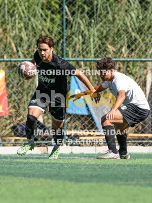 Detalhes da foto #16974