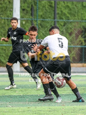 Detalhes da foto #57263