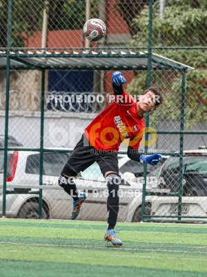 Detalhes da foto #26212