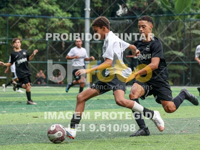 Falcons X Lions - Brave League