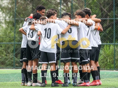 Detalhes da foto #65460