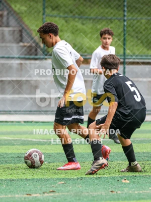 Detalhes da foto #26903