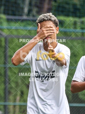 Detalhes da foto #68690