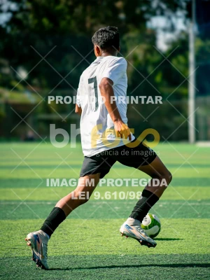 Detalhes da foto #1932471