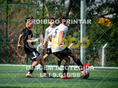 Detalhes da foto #5032201