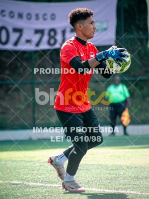 Detalhes da foto #6613994