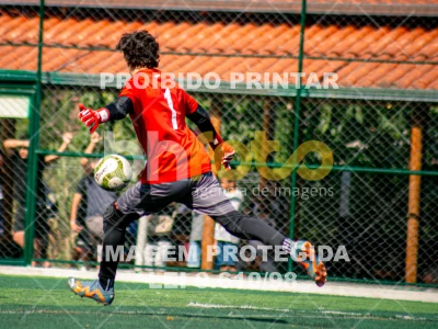 Detalhes da foto #5630316