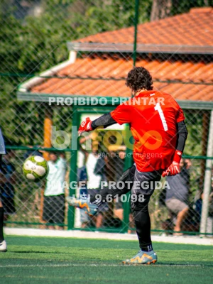 Detalhes da foto #1058022