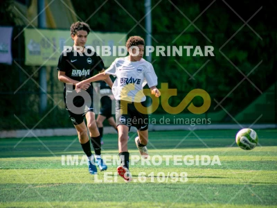 Detalhes da foto #7274493