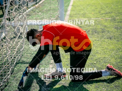 Detalhes da foto #7033827