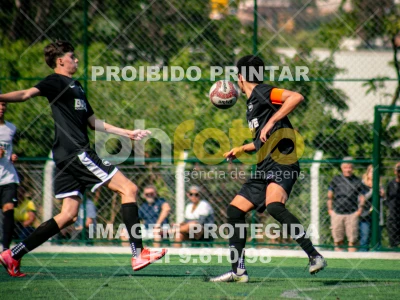 Detalhes da foto #8470624