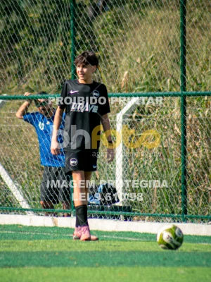 Detalhes da foto #1731314