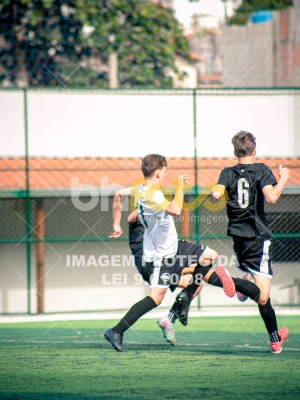 Detalhes da foto #3586576