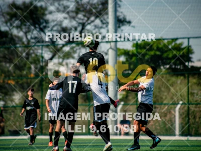Detalhes da foto #7994403
