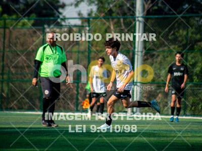 Detalhes da foto #1604077