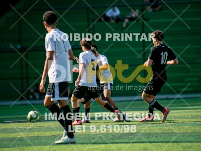Detalhes da foto #6256207