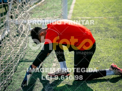 Detalhes da foto #7543631