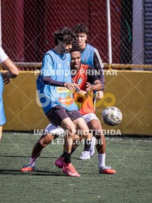 Detalhes da foto #3366398