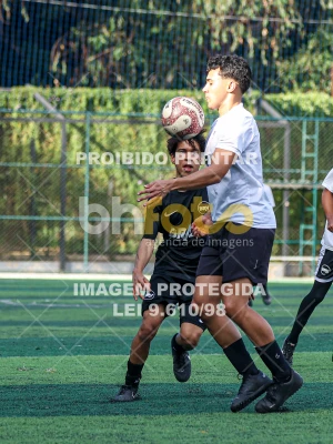 Detalhes da foto #9201613