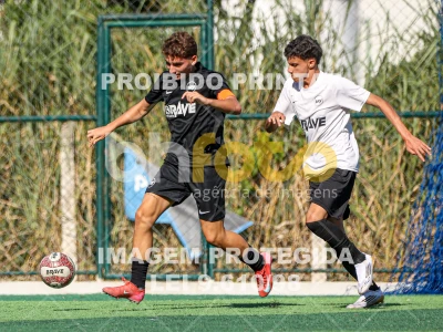 Detalhes da foto #8398141