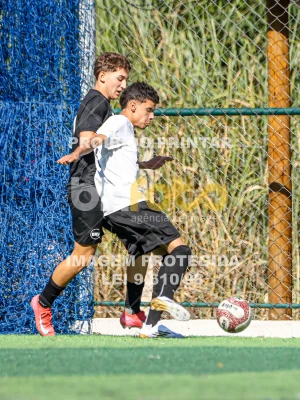 Detalhes da foto #6832615