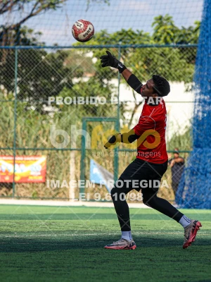 Detalhes da foto #3079040