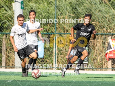 Detalhes da foto #4357392