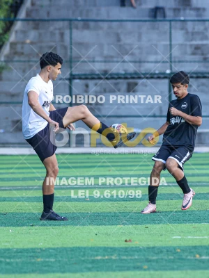 Detalhes da foto #8689806