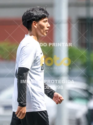 Detalhes da foto #69033