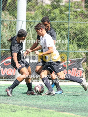 Detalhes da foto #95503