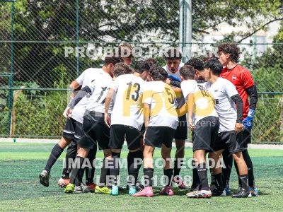 Detalhes da foto #89275