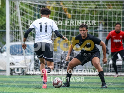 Detalhes da foto #95169