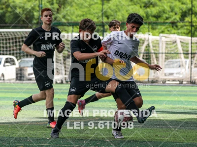 Detalhes da foto #31731